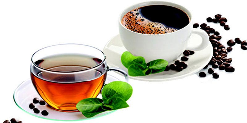 Hàm lượng caffein có trong trà