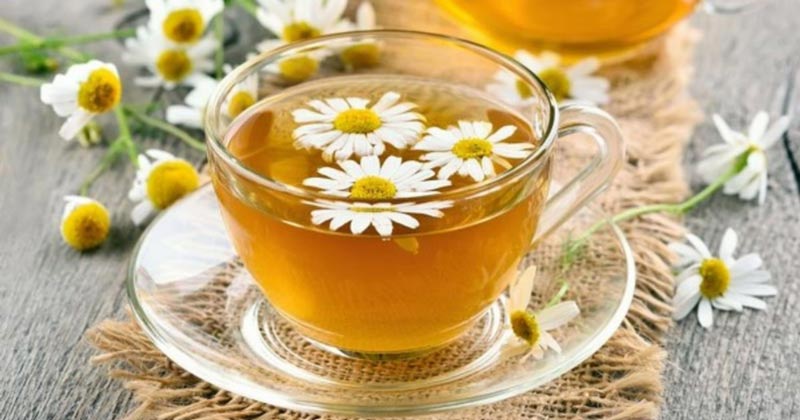 Trà thảo dược tốt cho phụ nữ mang thai