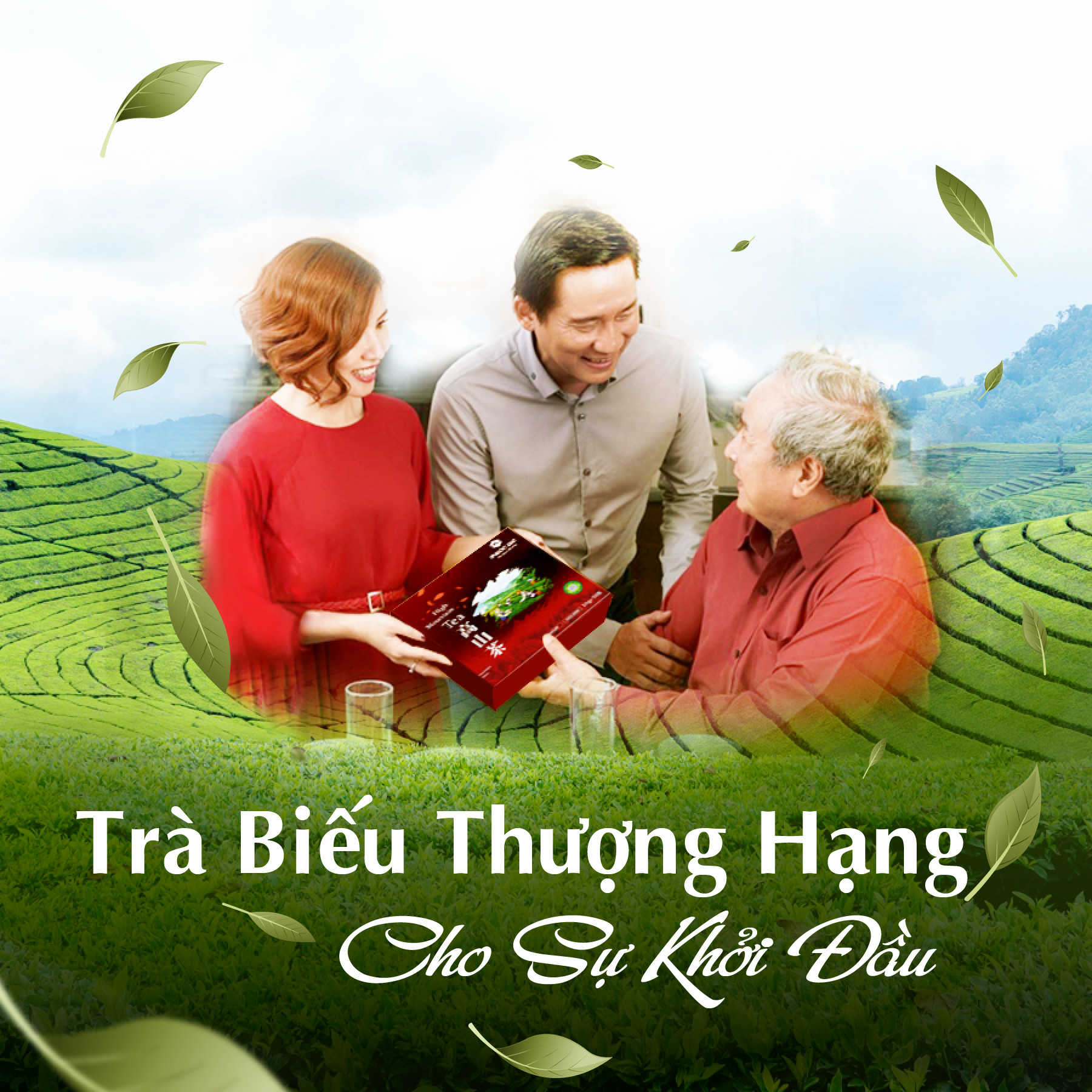 Trà Oolong Kim Tuyên cao cấp xứng đáng là món quà vì sức khỏe dành tặng người thân và gia đình bạn. Trà Oolong Kim Tuyên cao cấp xứng đáng là món quà vì sức khỏe dành tặng người thân và gia đình bạn.