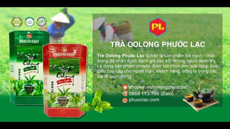 Thưởng uống trà ô long, đừng bỏ qua những thông tin thú vị này!