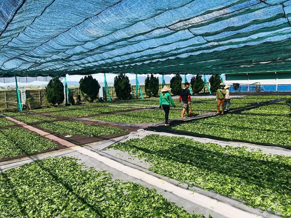 Phước Lạc tâm an – Trà ngon cùng bạn!