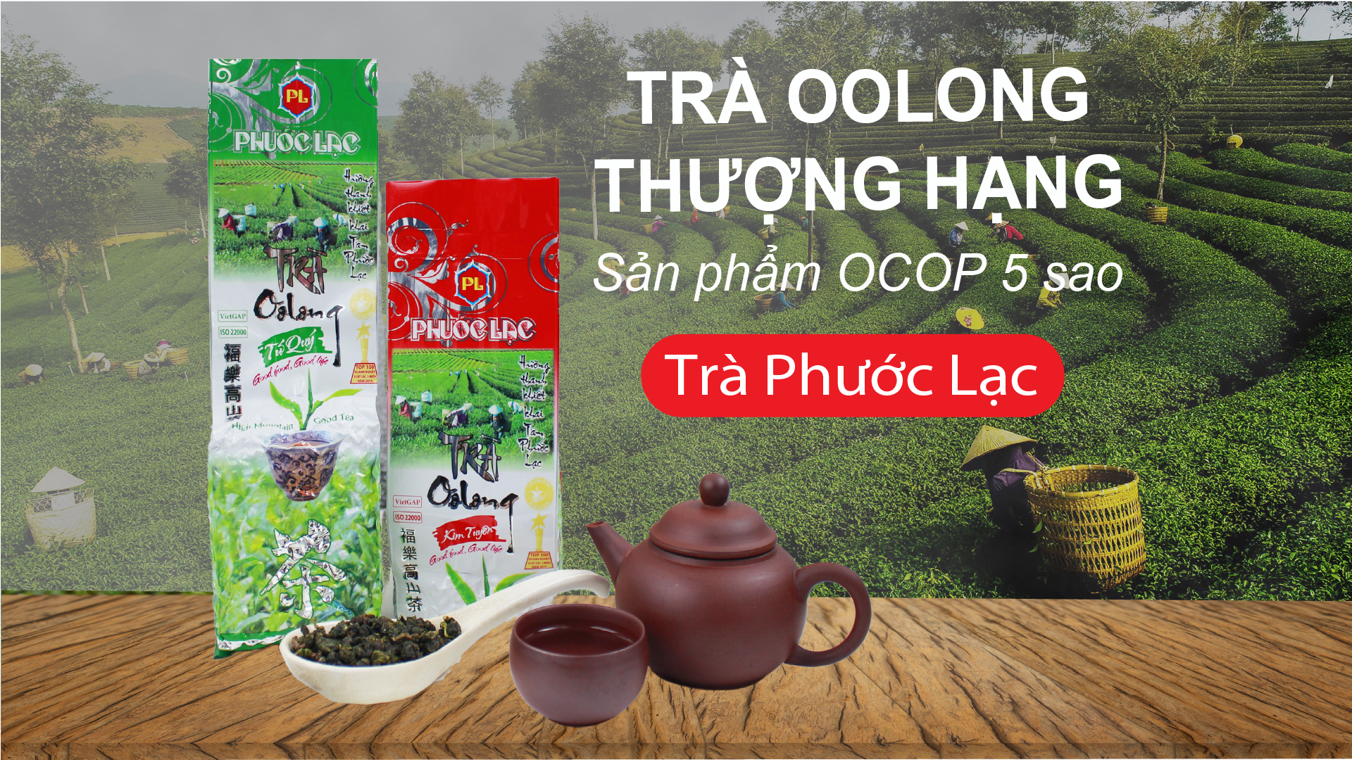 Địa Chỉ Nhà Cung Cấp Trà Ô Long Chất Lượng Tại Việt Nam